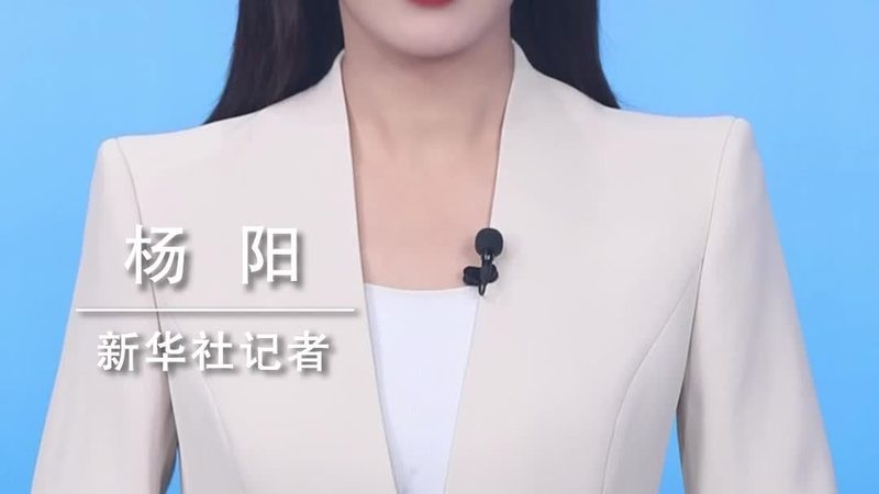 自建电商平台外包开发：揭秘高效流程与关键步骤